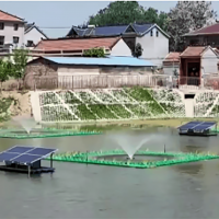 太陽能噴泉曝氣機