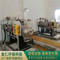 大型水處理臭氧發生器設備 金仁環保科技 供應
