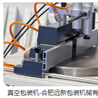 真空包裝機 ，給袋式真空包裝機 ，拉伸膜真空包裝機
