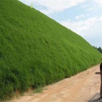 邊坡綠化工程