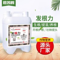 廠家批發生根壯秧劑植物扦插育苗肥微生物菌肥生根劑發根保花壯果