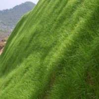 山體復(fù)綠 客土噴播 山體綠化 巖石復(fù)綠 植物護坡