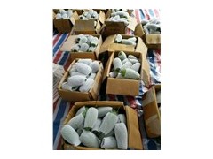 水果網套具有減震功能應用廣泛