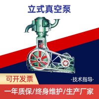溫州廠(chǎng)家生產(chǎn) WL-100立式真空泵 質(zhì)量可靠