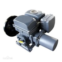 電動執行器、 電動執行機構