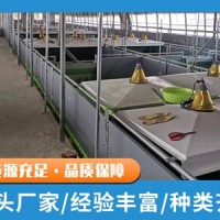 公豬站空調(diào)制冷 豬場高壓清洗 豬場清糞設(shè)備