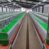 即食玉米設備生產廠家玉米加工流水線甜玉米加工機器真空玉米加工