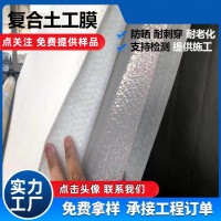 蓄水池人工湖長絲復合膜 600g魚塘蝦池防滲土工布兩布一膜