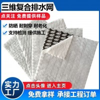 三肋復合排水網 三維復合排水網 土工網