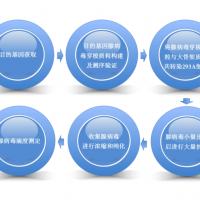 病毒載體產品 病毒檢測平臺 細胞培養工藝開發 無菌制劑灌裝