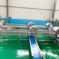 鮮食玉米加工流水線