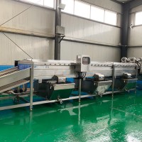 甜糯玉米加工流水線