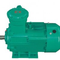 YBX3防爆電機(jī)-CT4等級(jí)（廠用）