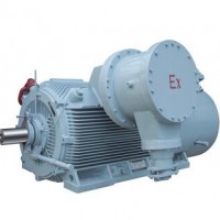 YBX3高壓防爆電機-BT4