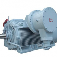 YB3礦用高壓防爆電機-6kv