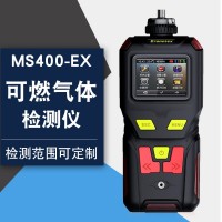 可燃?xì)怏w檢測(cè)儀Ex