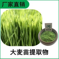森冉生物 大麥苗提取物 大麥苗粉 植物提取原料粉
