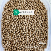 種子丸粒化